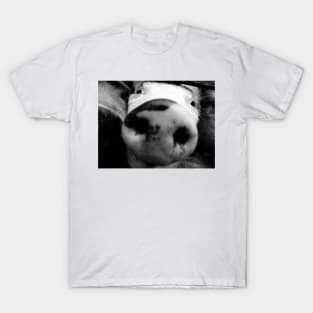 Smart Pig T-Shirt